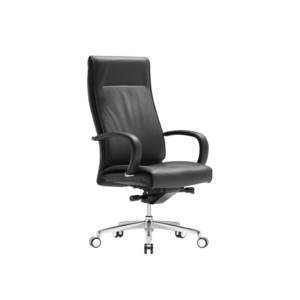 Fursys CHN3300