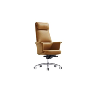 Ghế giám đốc Celios